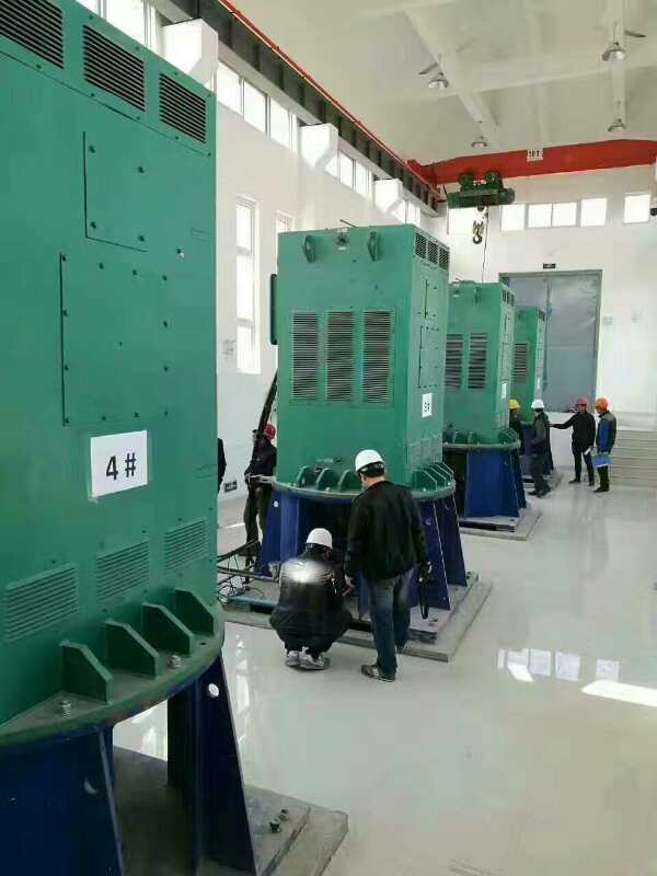 YKK5005-8某污水处理厂使用我厂的立式高压电机安装现场