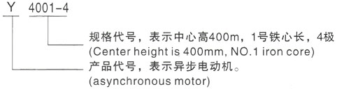 西安泰富西玛Y系列(H355-1000)高压YKK5005-8三相异步电机型号说明