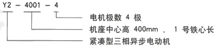 YR系列(H355-1000)高压YKK5005-8三相异步电机西安西玛电机型号说明